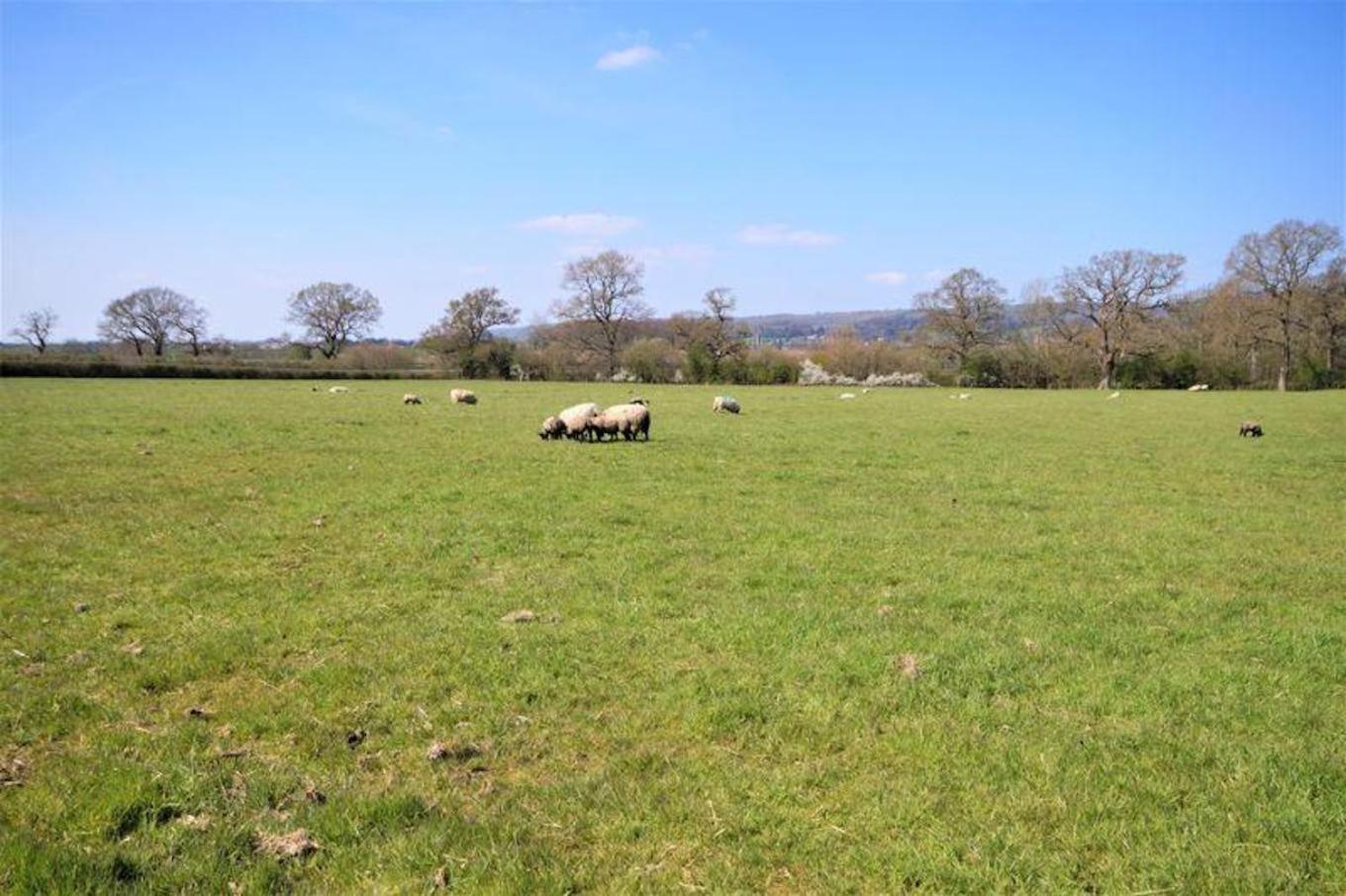 Luxury Barn Conversion Wells Εξωτερικό φωτογραφία