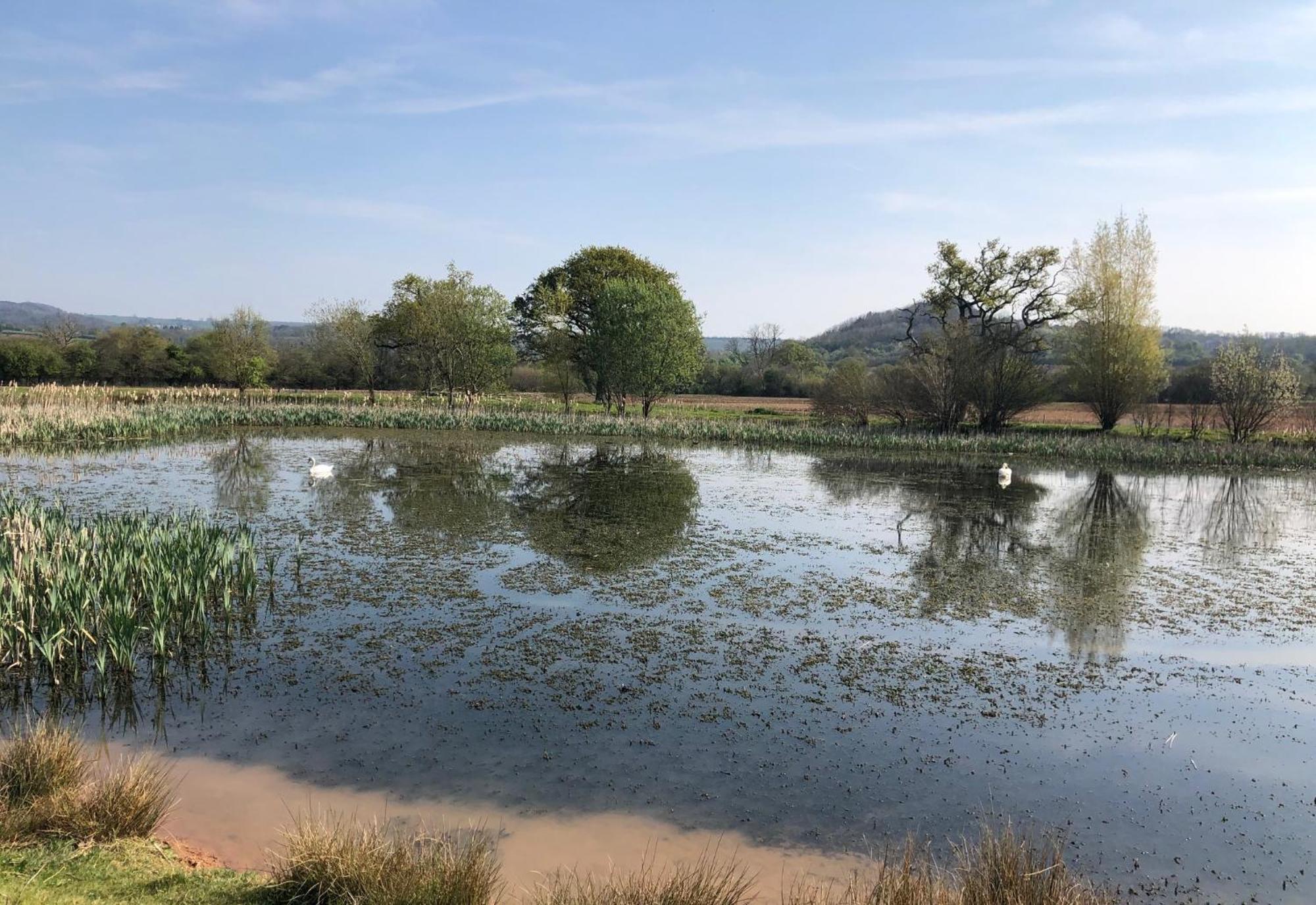 Luxury Barn Conversion Wells Εξωτερικό φωτογραφία