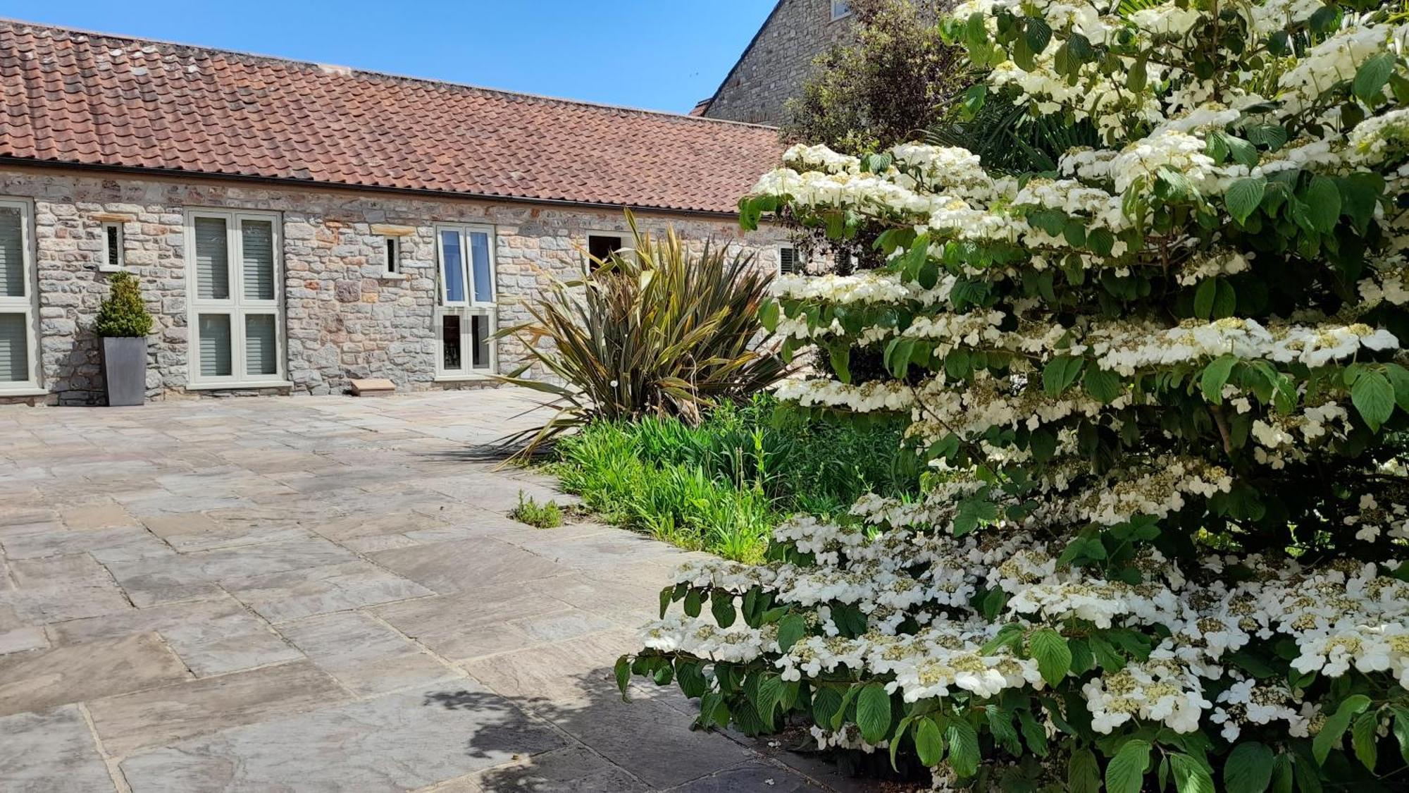 Luxury Barn Conversion Wells Εξωτερικό φωτογραφία