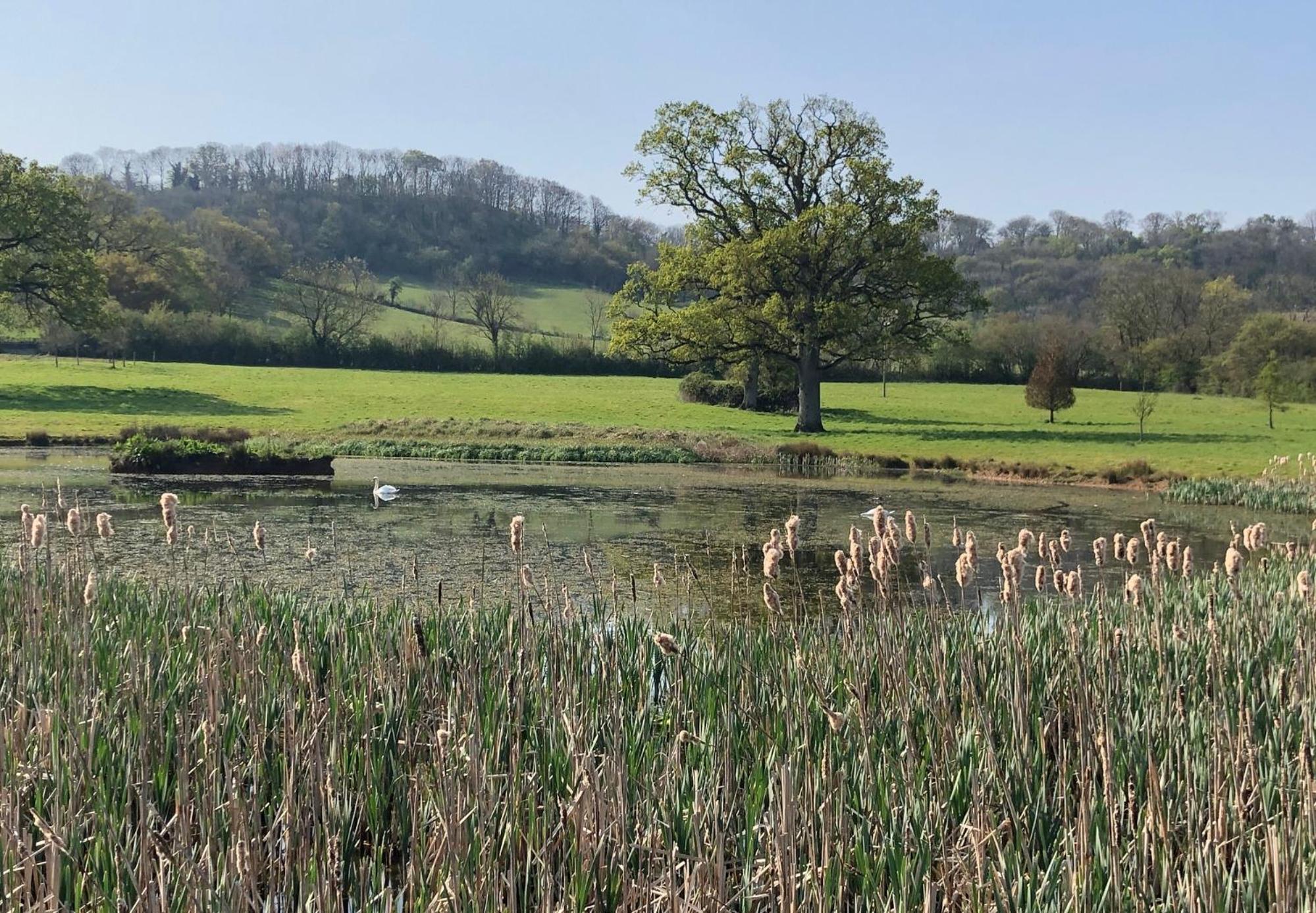 Luxury Barn Conversion Wells Εξωτερικό φωτογραφία
